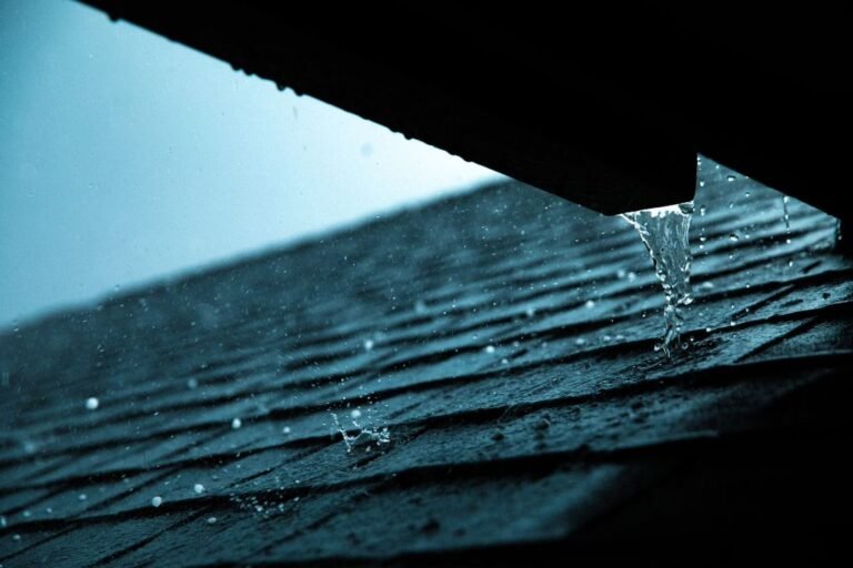 siding water damage inspection