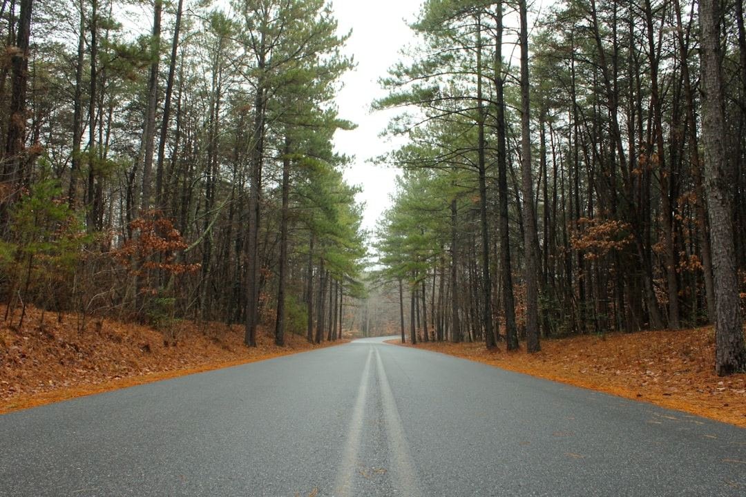 wilson north carolina street