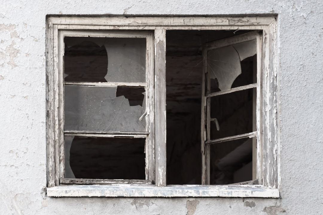 wood window frame rot damage